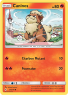Carte Pokémon Caninos 21/214 Commune Alliance Infaillible