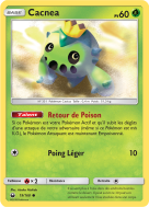 Carte Pokémon Cacnea 19/168 Commune Tempête Céleste