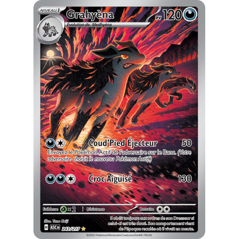 Carte Pokémon Grahyèna 243/217 AR Héros Transcendants