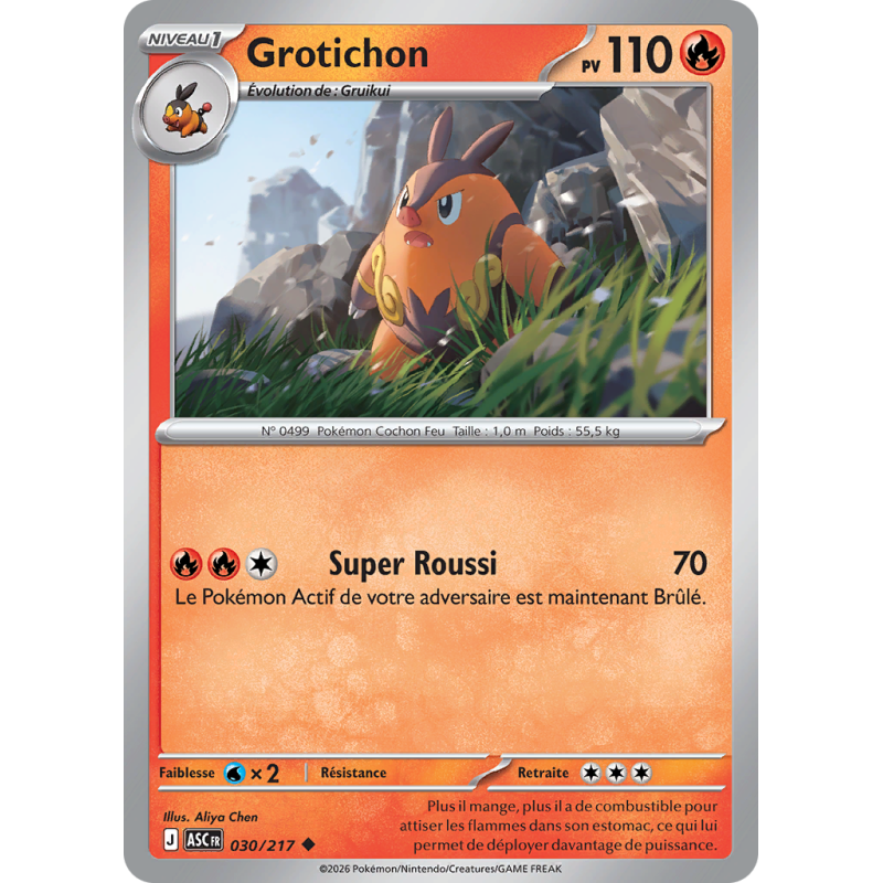 Carte Pokémon Grotichon 030/217 Peu commune Héros Transcendants