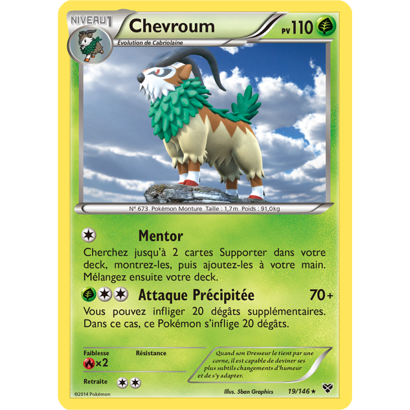 Carte Pokémon Chevroum 19/146 Holographique XY (JCC)
