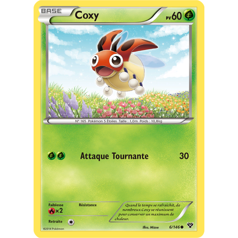 Carte Pokémon Coxy 6/146 Commune XY (JCC)