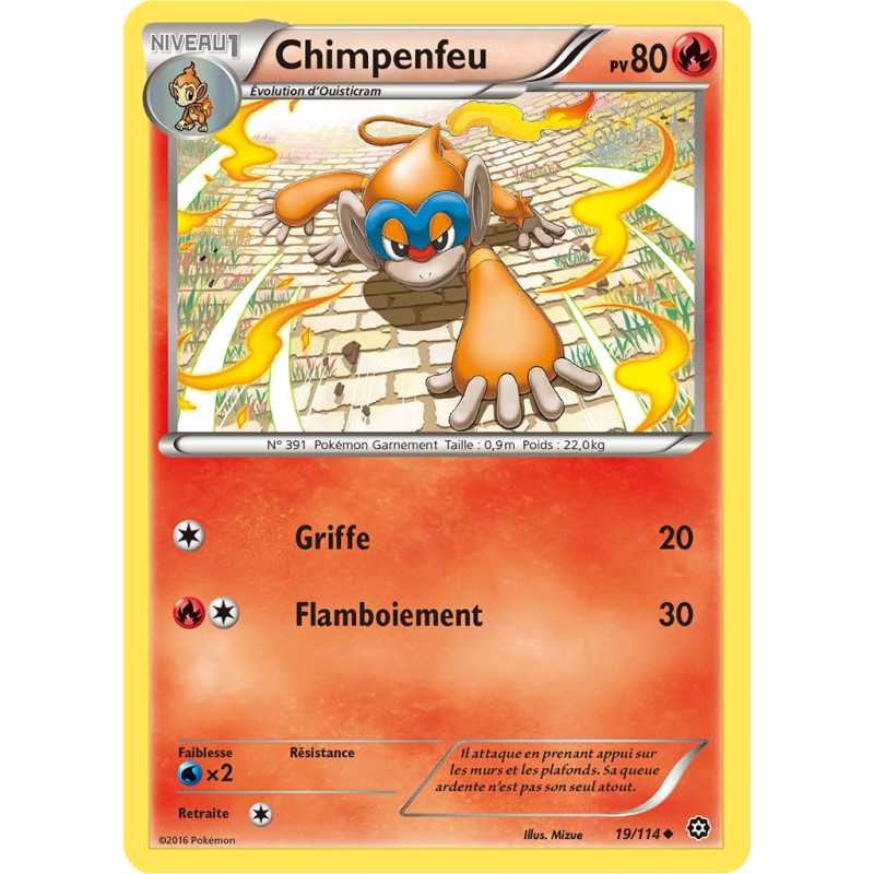 Carte Pokémon Chimpenfeu 19/114 Peu commune Offensive Vapeur